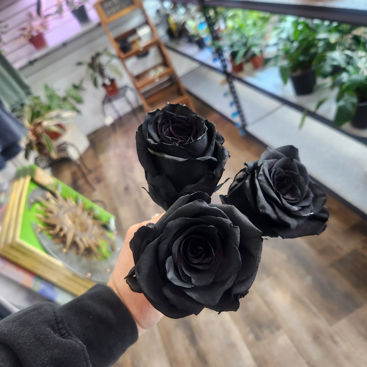Dozen Roses