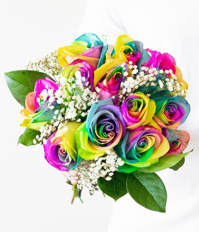 Dozen Roses