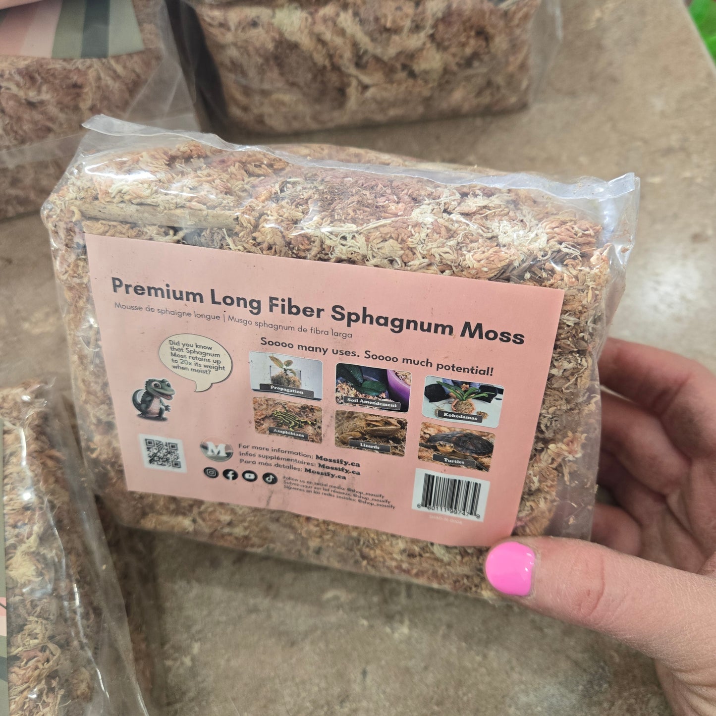 Premium Long Fiber Sphagnum Moss - 50g