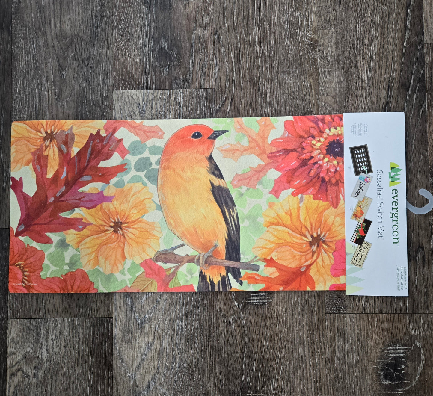 Switch Mat Changing Seasons Bird