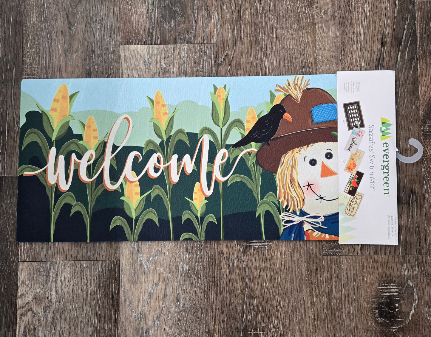 Switch Mat Scarecrow and Friend