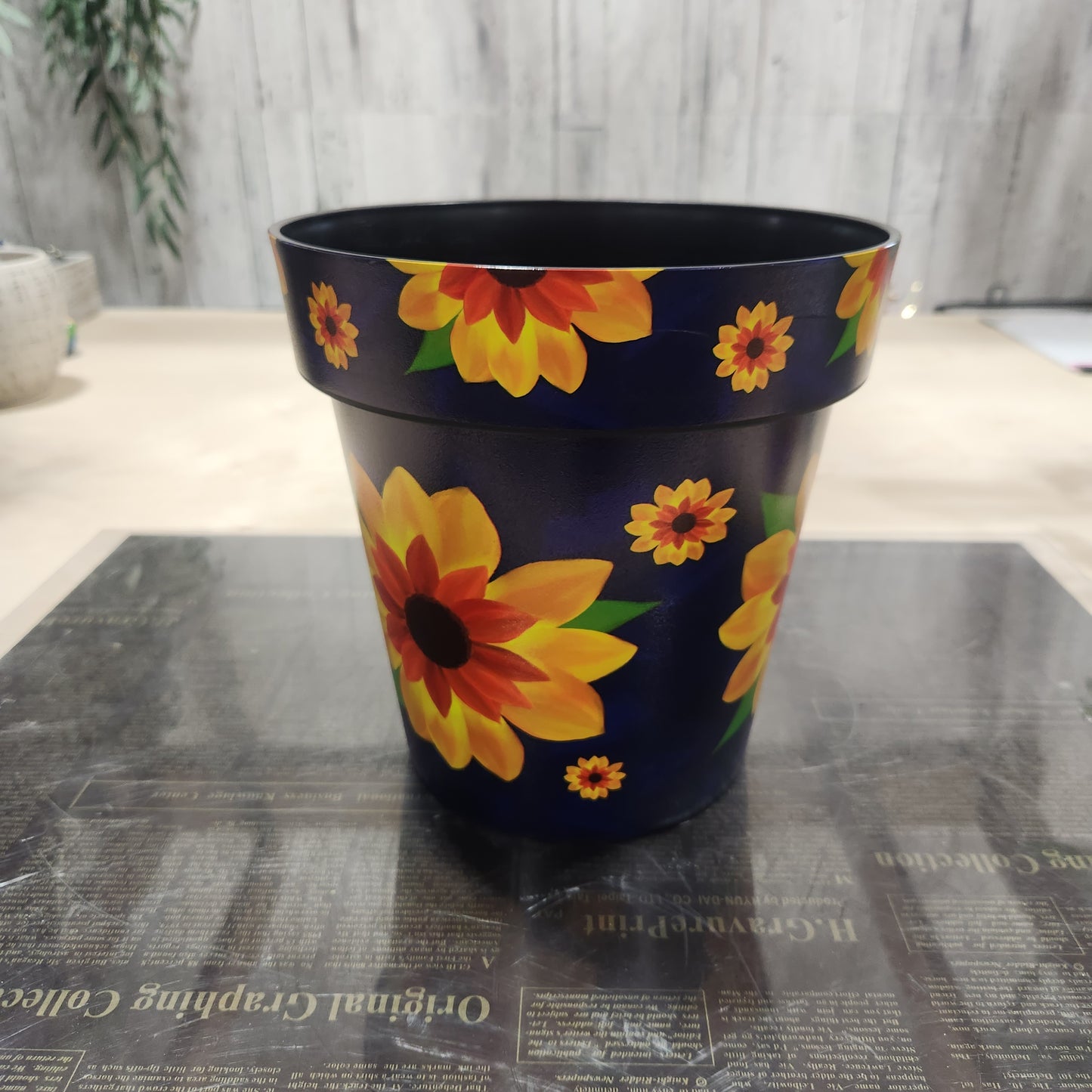 8.5" Zest Pot Spring Sunflower