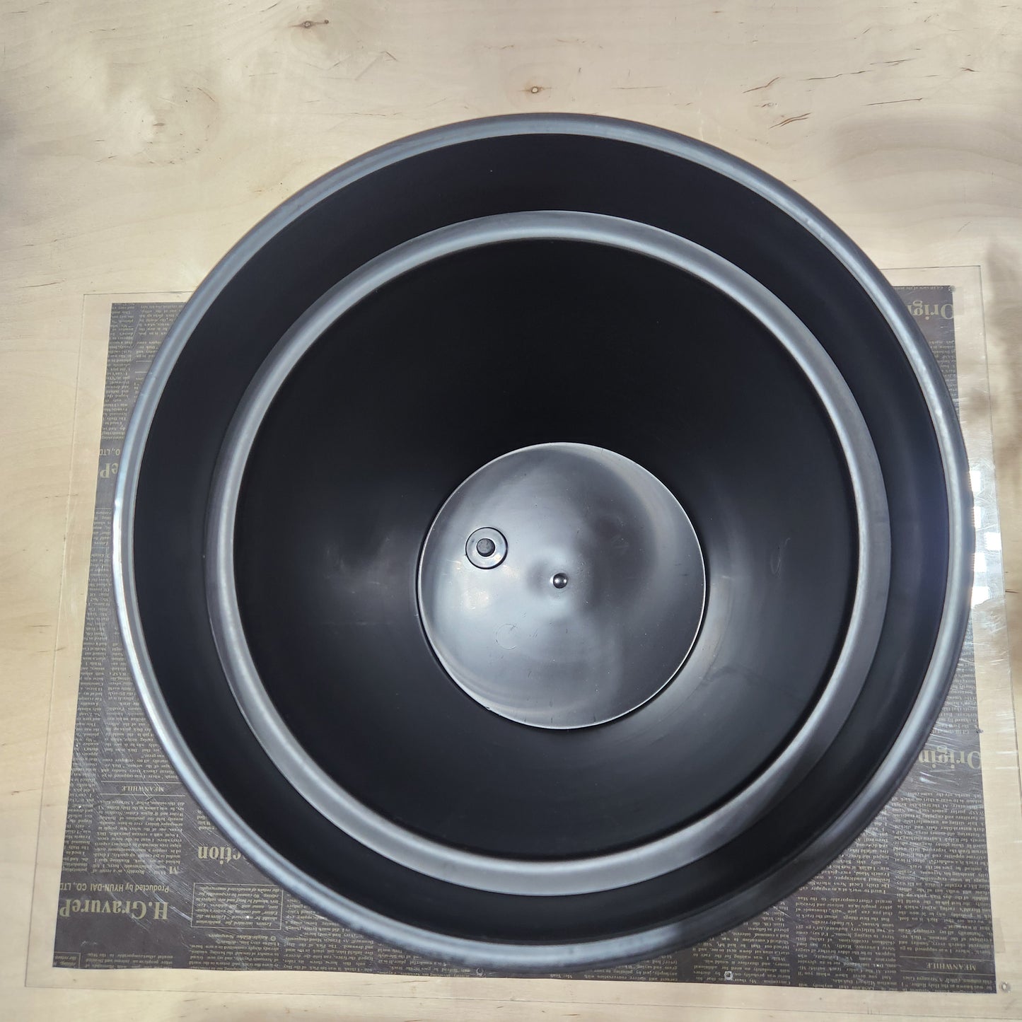 12" Zest Pot Sunflower Planter