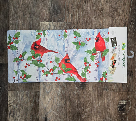 Switch Mat Winter Visit
