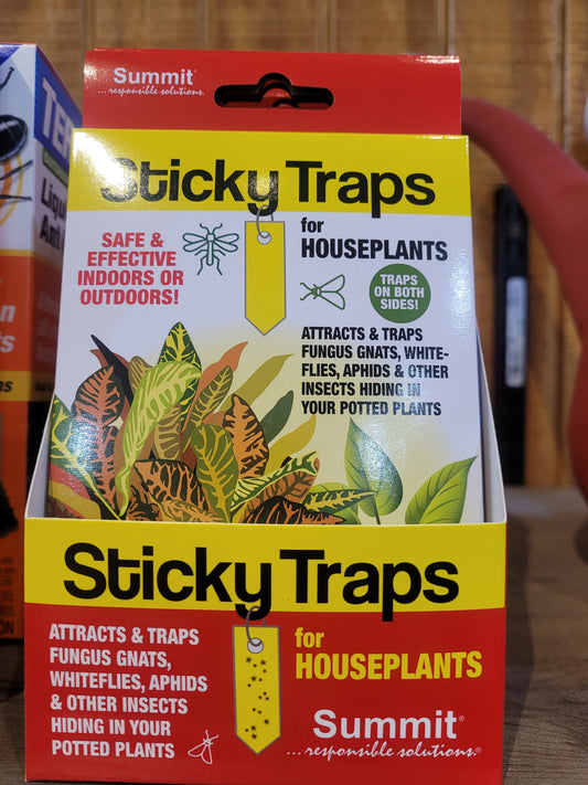 Sticky Traps