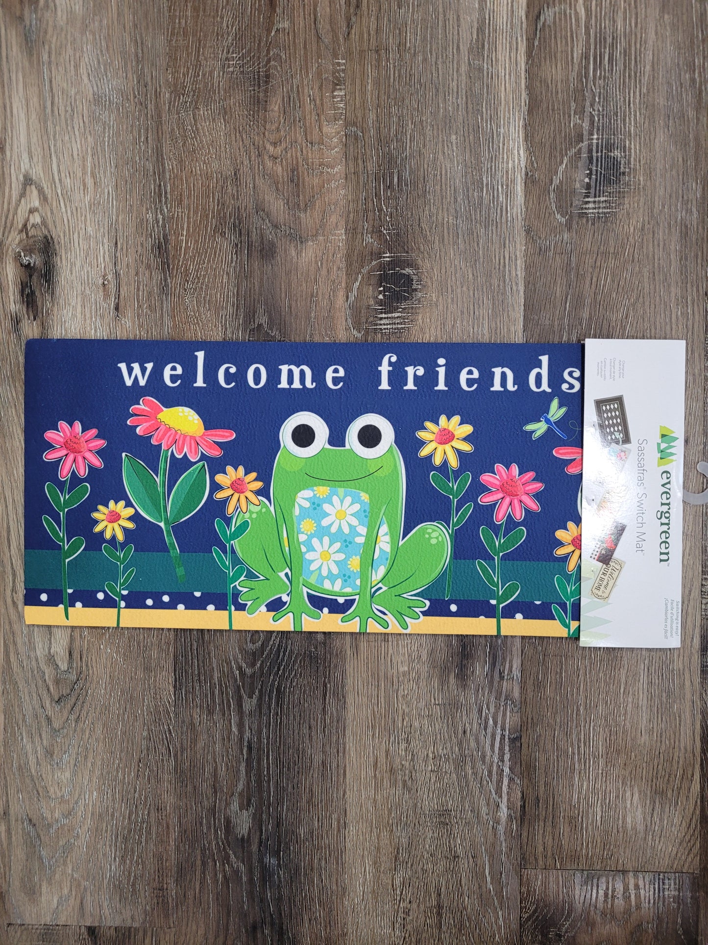 Switch Mat Welcome Friends Frog