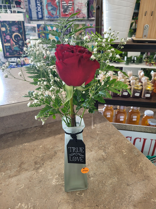 True Love Single Rose Frost Vase